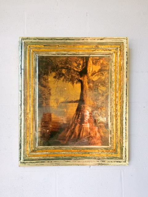 Cypress Mystere by Debbie Willson | Photograph on antiqued mirror with gold leaf. Cypress Mystere